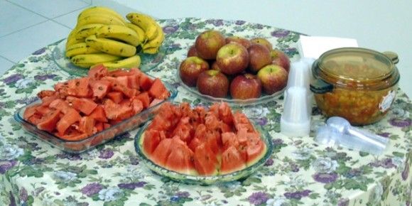 Alimentos 6