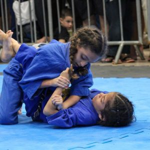 Verbo Jiu-Jítsu