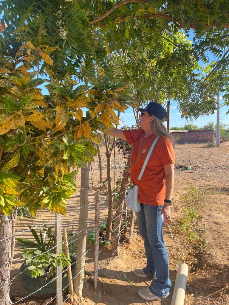 Evangelismo em Petrolina (PE) alcançou 5 pessoas