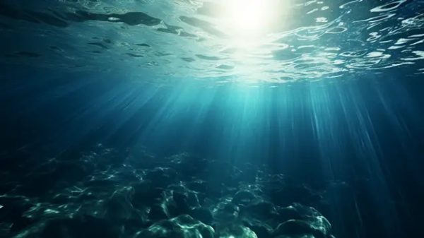 sabedoria das águas profundas