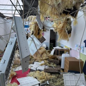 Verbo em Portugal vive dias milagrosos após tempestade