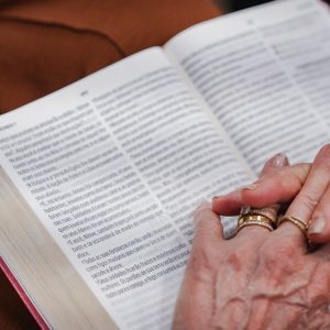 Projeto impulsionou avanço da Verbo em Caxias do Sul (RS)