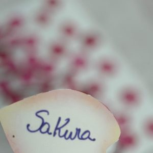 Floresceu! Mulheres do Japão celebraram a Primavera