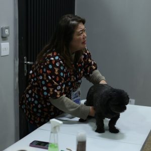 Verbo em Vila Matilde (SP) celebrou 21 anos com ação social