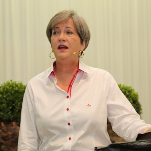 2013_conf_min_sud_sab_manha054